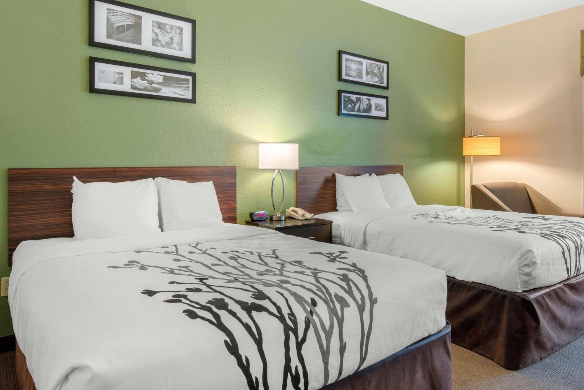 Sleep Inn & Suites Port Charlotte-Punta Gorda Dış mekan fotoğraf
